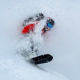 Adam Zok's picture
