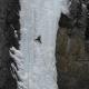 Jesse Bouliane's picture